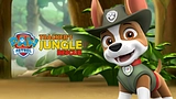 Paw Patrol Tracker's Jungle Rescue
